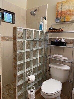 Shower, hair dryer, towels, soap