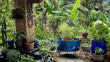 Jardines del alojamiento