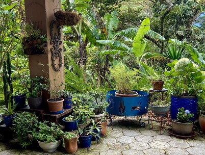 The Hacienda Casita in Boquete