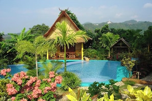 2 outdoor pools - Old Tree's House (Mae Ai)