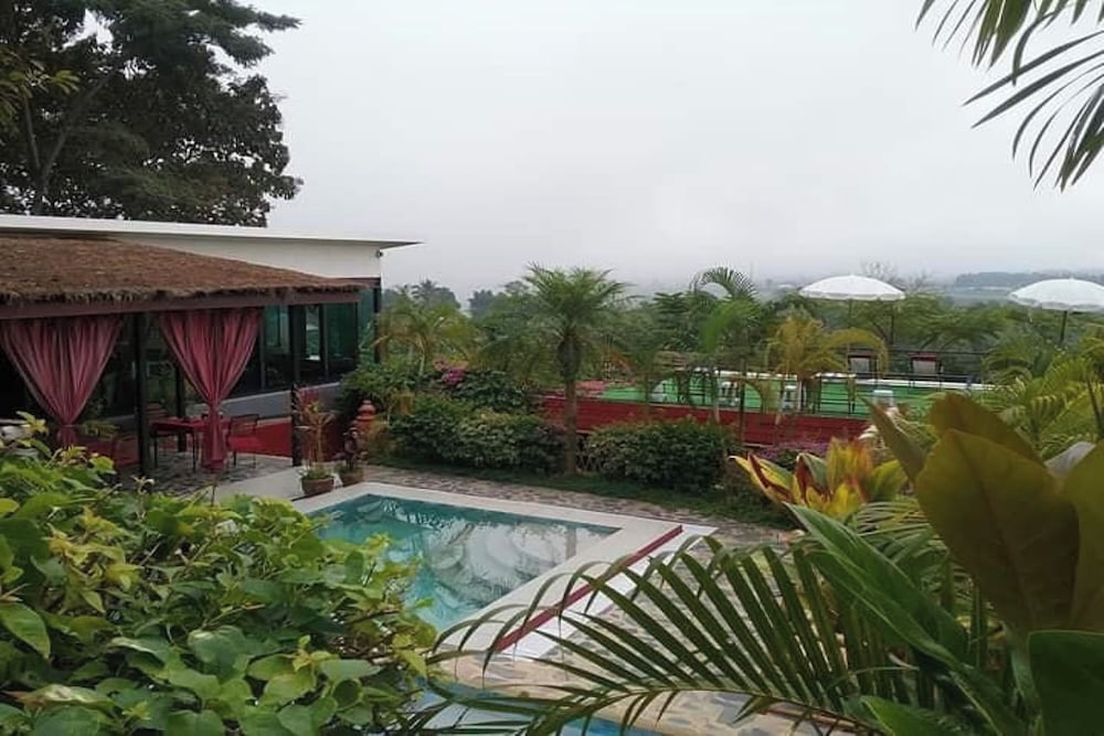 Old tree's house resort. by null