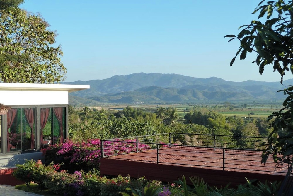 Old tree's house resort. by null