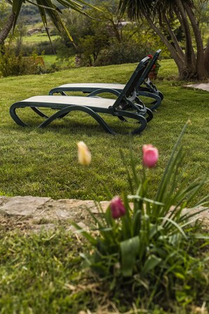 Property grounds - Agriturismo Cupido (Magliano in Toscana)