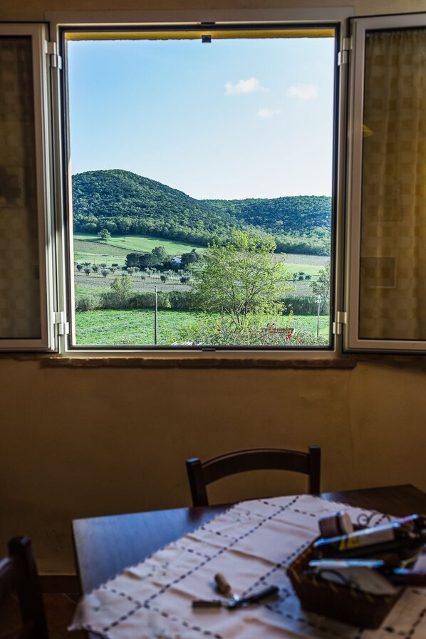 Apartment, 1 Bedroom, Ground Floor | View from room - Agriturismo Cupido (Magliano in Toscana)