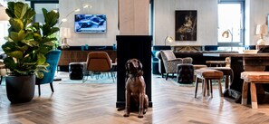 Interior - Kopster Hotel Lyon Groupama Stadium (Decines-Charpieu)