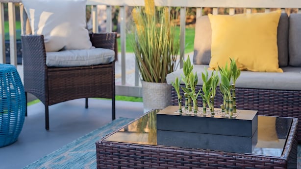 Un sofá de mimbre con cojines, una silla tejida en azul y una mesita con una planta.