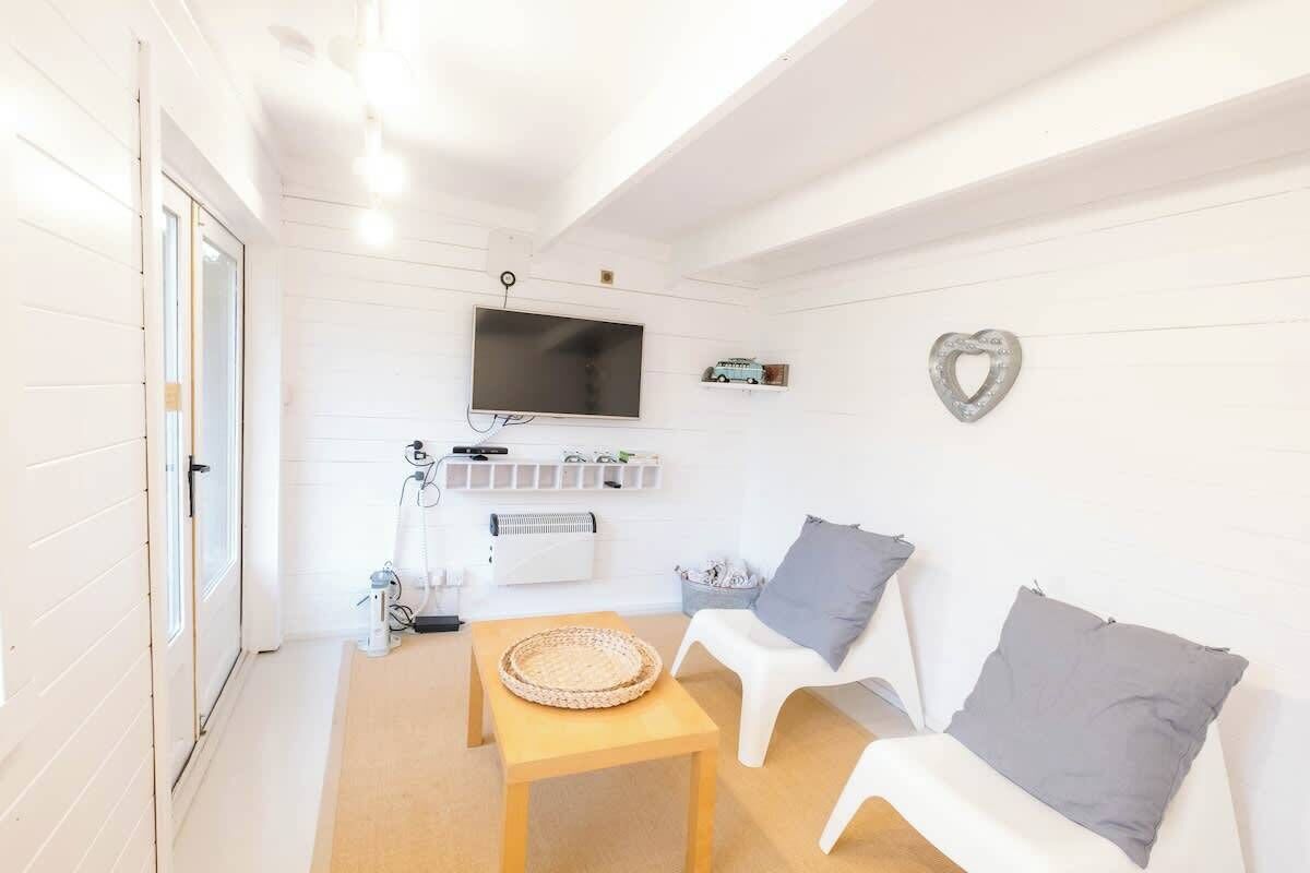 TV connectée, cheminée, jeux vidéo, lecteur de DVD