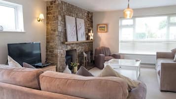 Smart TV, fireplace, video games, DVD player