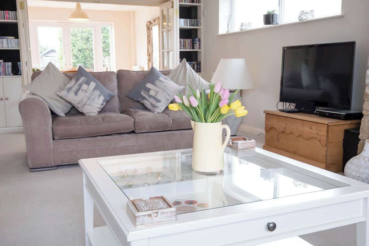 TV connectée, cheminée, jeux vidéo, lecteur de DVD