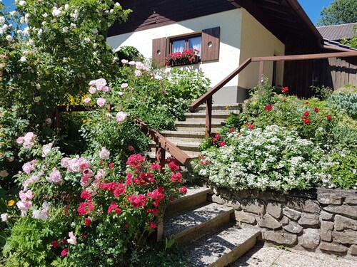 2 vacation apartments - with heart / at the Geißkopf MTB-Bikepark-Fam.Trailpark!