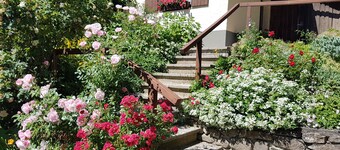 Habischried /GeißkopfWLANを中心とした2つのホリデーアパートメント朝食込み