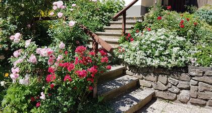 2 vacation apartments - with heart / at the Geißkopf MTB-Bikepark-Fam.Trailpark!