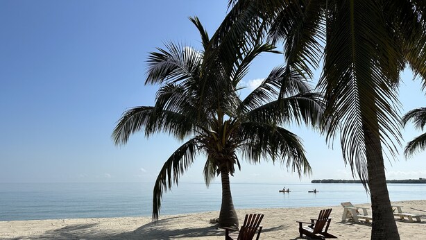 A beach with palm trees, beach chairs, and a calm sea. - Beautiful Beachfront Island Home, Private Dock, Village Transportation Included (Placencia)