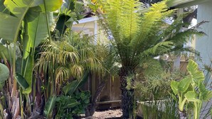 Un jardín bien cuidado con diversas plantas tropicales, un césped impecable y una valla de madera.