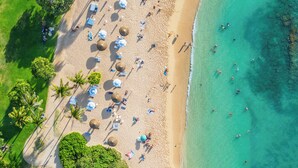 An aerial view of a beach with umbrellas, palm trees, and people.