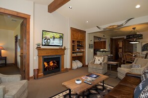 TV, fireplace