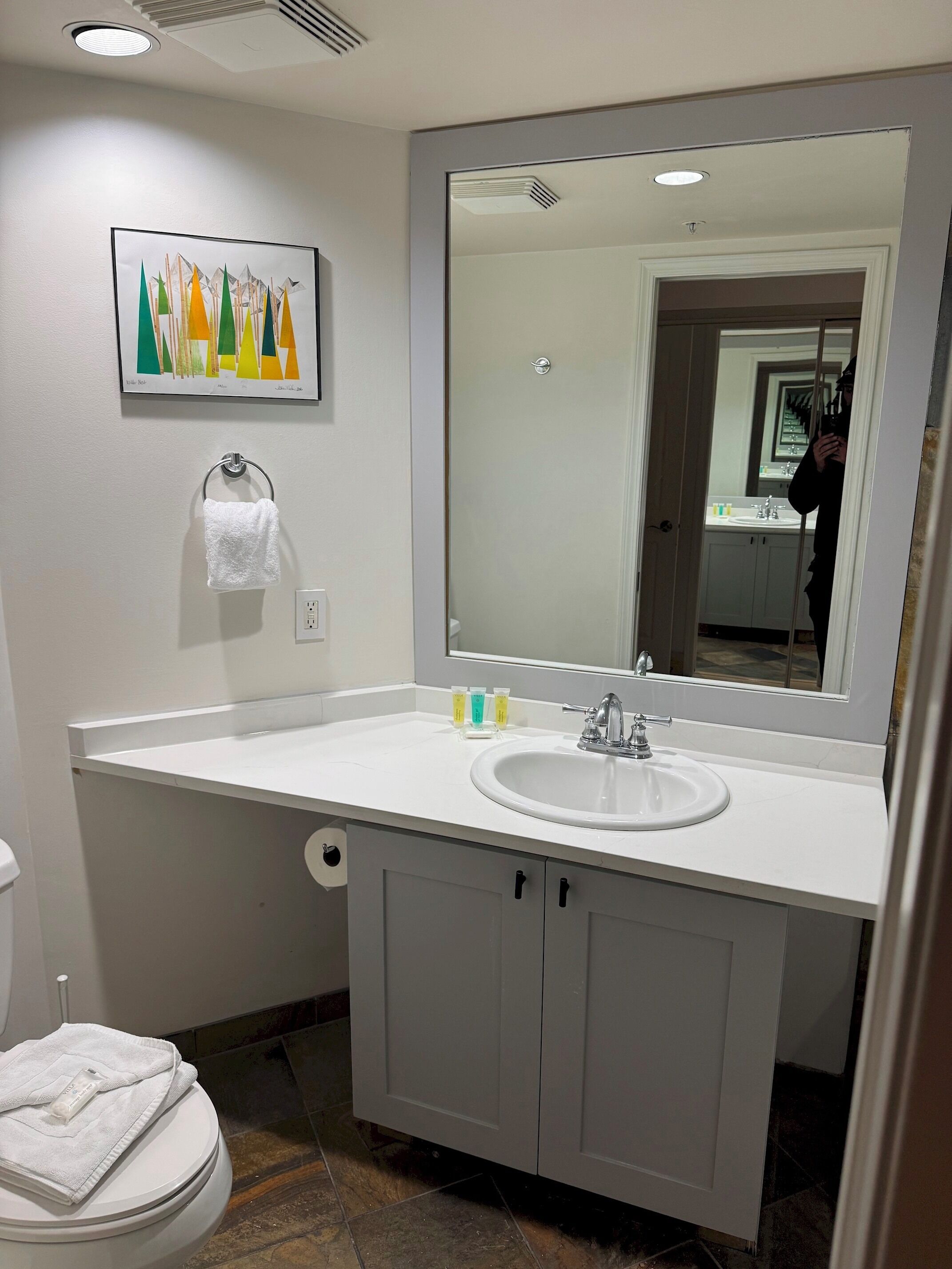 Een badkamer met een witte wastafel, een grote spiegel, een handdoekhouder en een toilet.