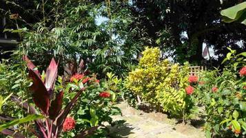 Un jardin avec un chemin de pierres, différentes plantes et une clôture en bois.