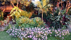 Um jardim com diversas plantas e flores, mobiliário de madeira e uma estrutura com telhado de palha.