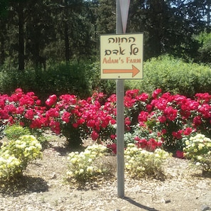 Jardín