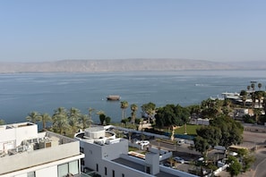 A coastal view with a clear sky, a body of water, and a distant mountain range.
