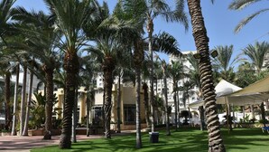 A courtyard with palm trees, a covered seating area, and a building with a beige facade. - The Kings Towers (Tiberias)