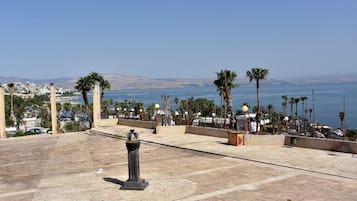 A paved plaza with palm trees, a parking meter, and a view of the sea and distant cityscape.
