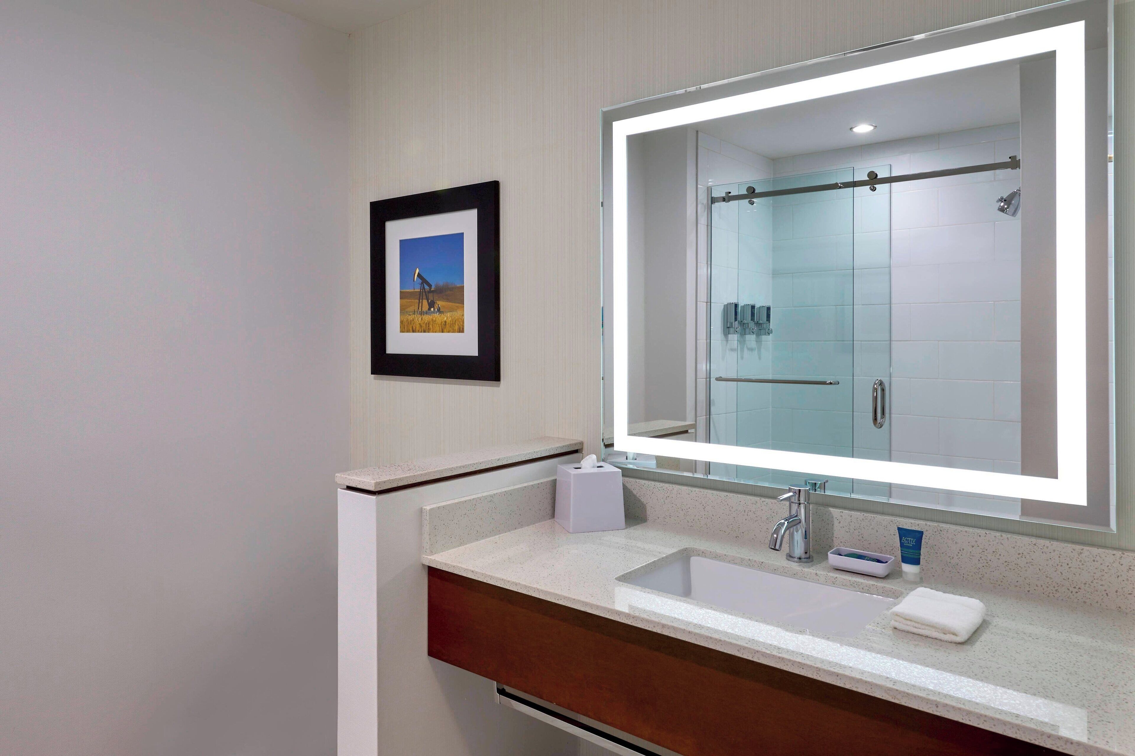 combined shower/bathtub, free toiletries, hair dryer, towels