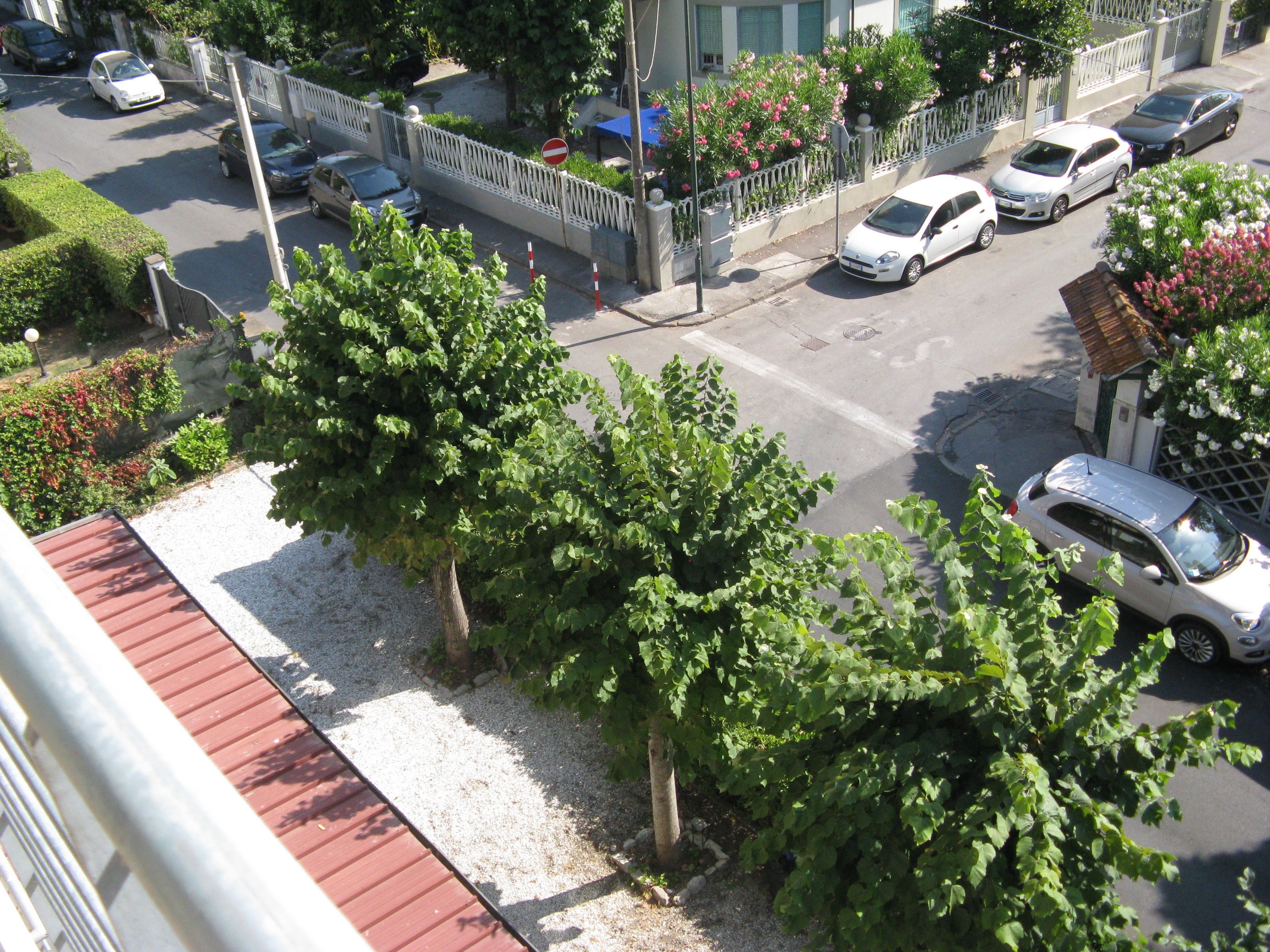 A street view with parked cars, a no entry sign, and lush green trees.