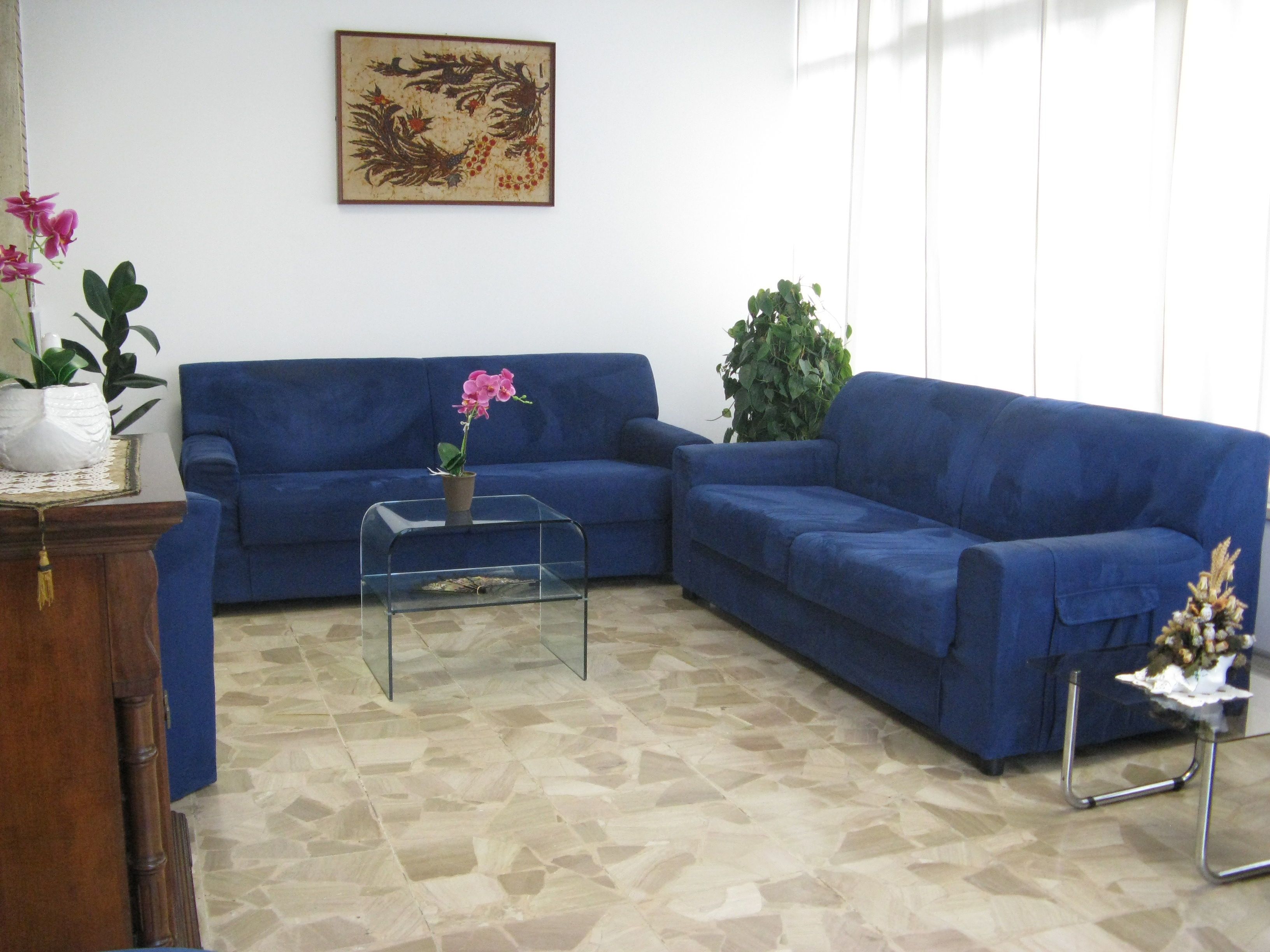 A living room with a blue sofa, a glass coffee table, and a potted plant.