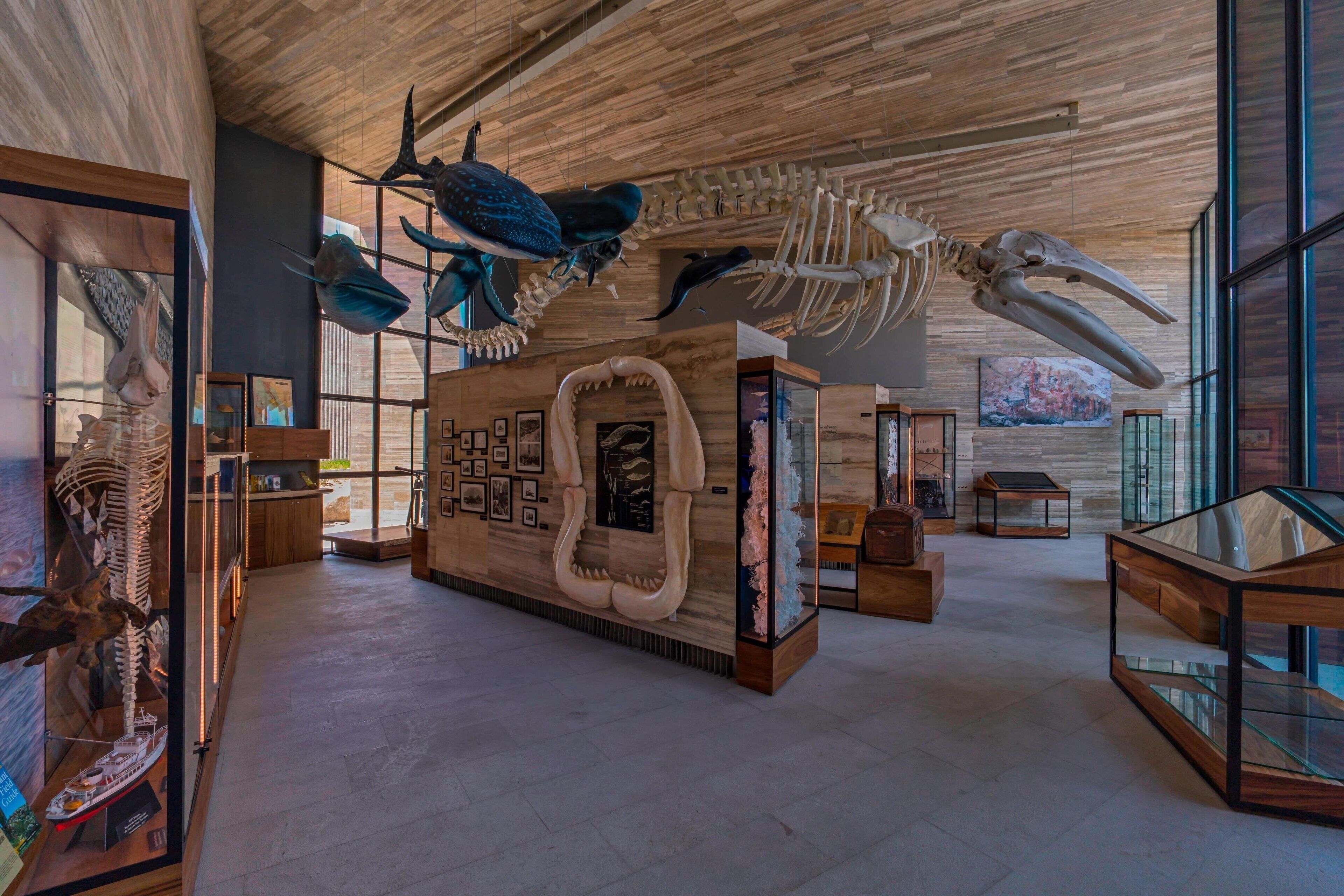 6 bars/lounges, beach bar