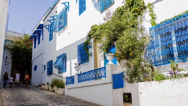 Front of property - Maison en plein cœur de Sidi Bou Said (Sidi Bou Said)