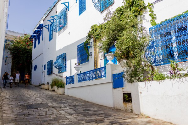 Front of property - Maison en plein cœur de Sidi Bou Said (Sidi Bou Said)