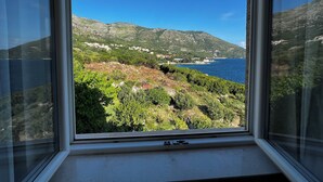 Ein Fenster mit Blick auf eine Küstenlandschaft, darunter ein Berg, viel Grün und ein Gewässer.