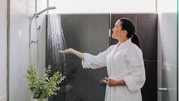 Shower, free toiletries, hair dryer, towels