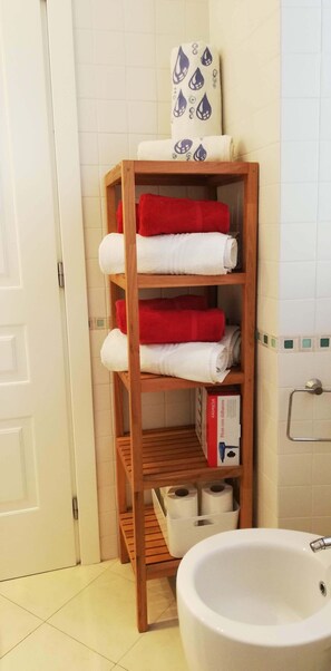 Shower, hair dryer, bidet, towels