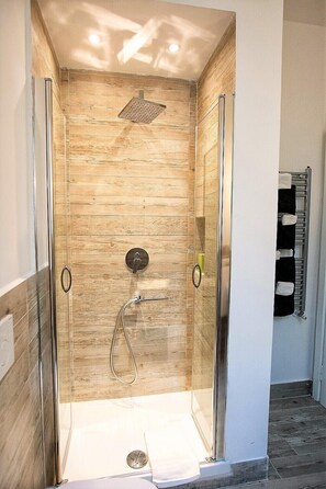 Shower, hair dryer, bidet, towels