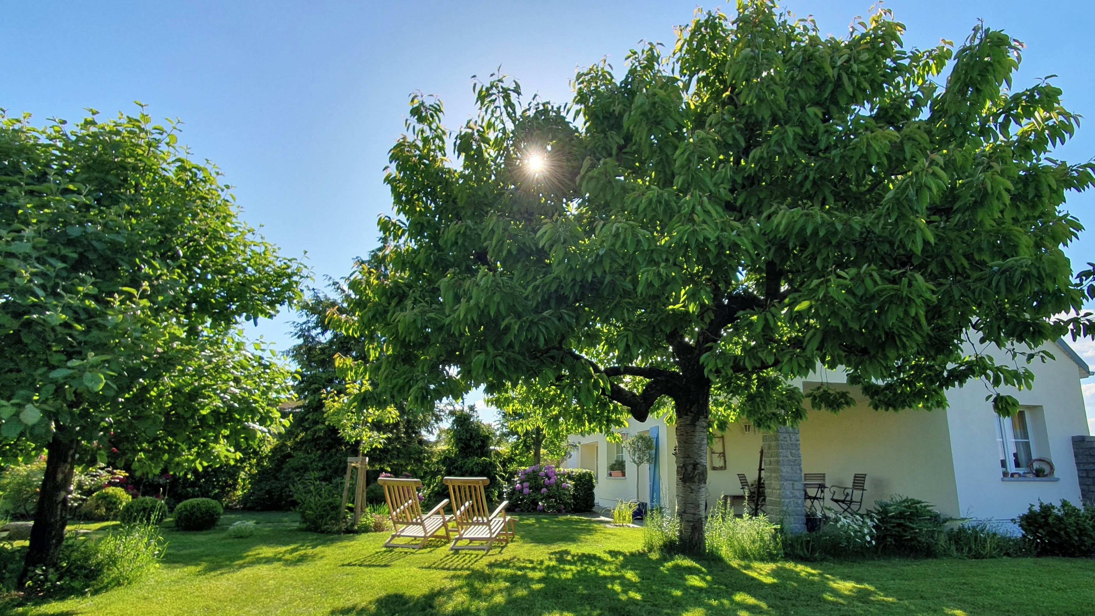 Un jardin bien entretenu, avec une pelouse, une chaise en bois et un bâtiment à la façade blanche.