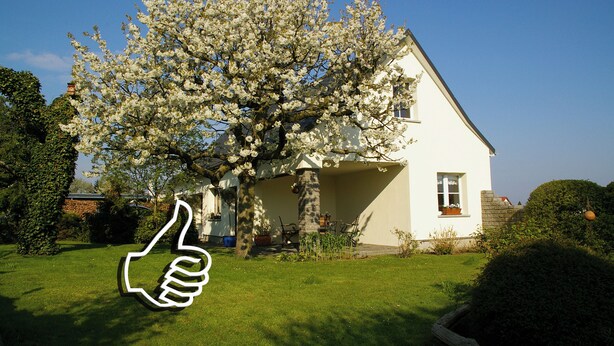 Una casa con fachada blanca, un jardín con un árbol de flores grande y un cartel con un pulgar arriba en primer plano.