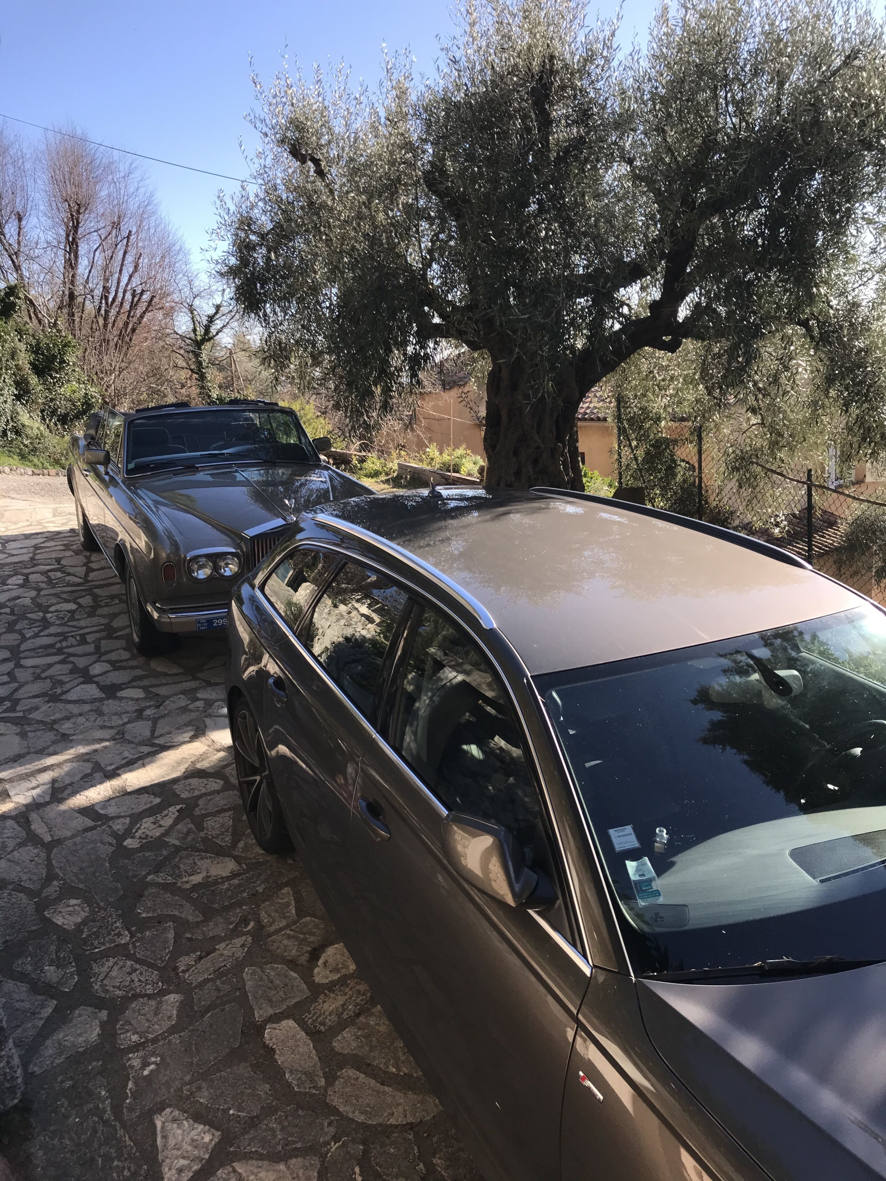 A parked car with a stone driveway and a large tree in the background.