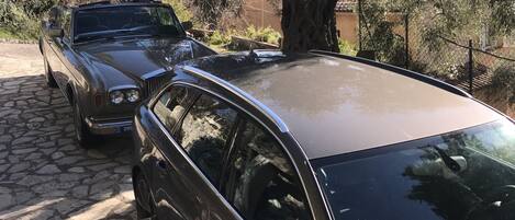 A parked car with a stone driveway and a large tree in the background.