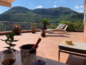 テラス / パティオ