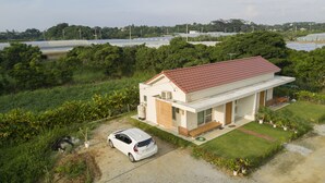 Ngoại thất