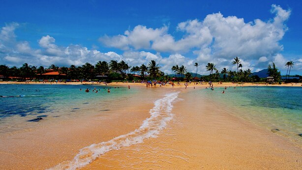 Une plage à l’eau turquoise et limpide, bordée d’un rivage sablonneux et de palmiers.