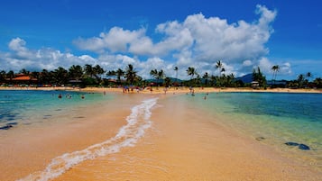 Playa en los alrededores, camastros y toallas de playa