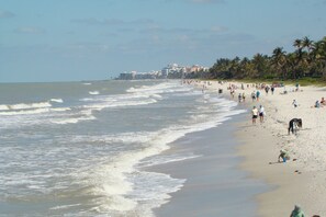 On the beach, sun loungers, beach towels