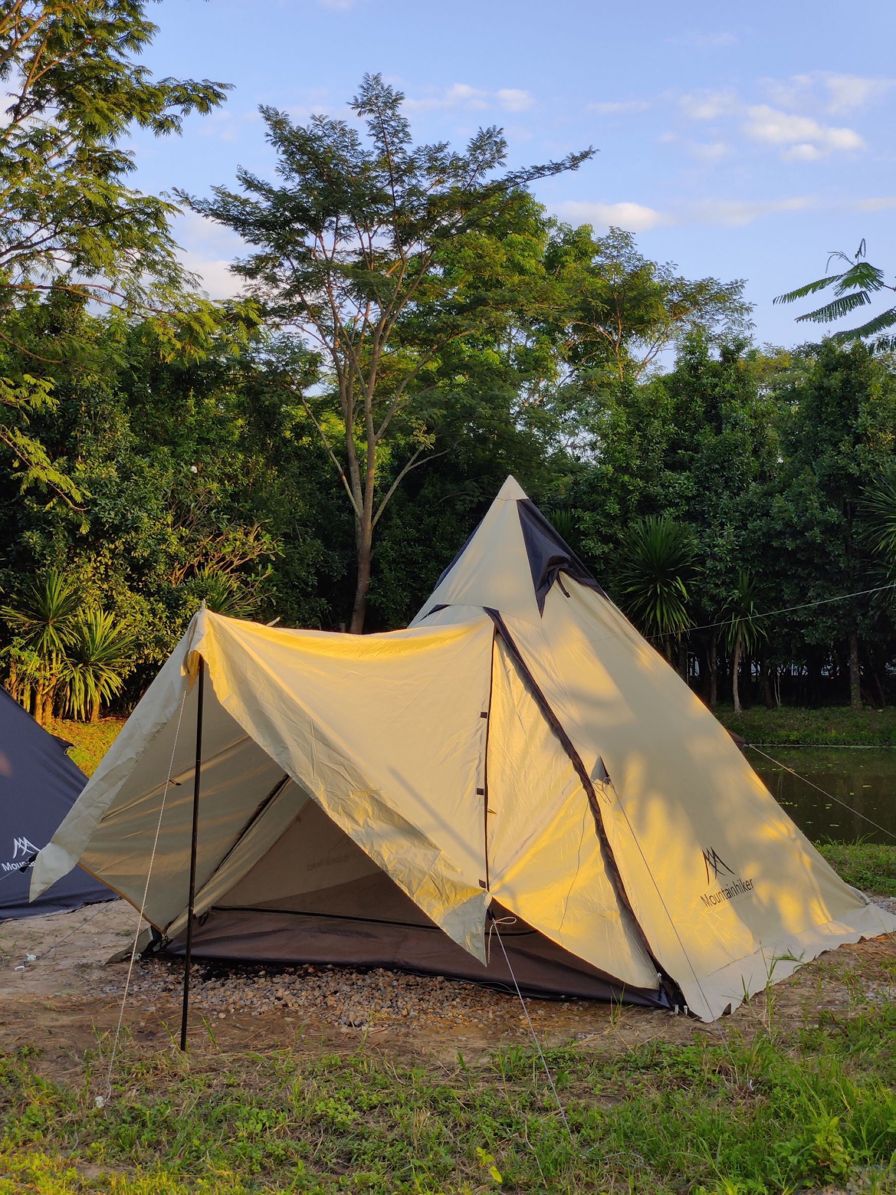 Wi-Fi gratuito, lenzuola