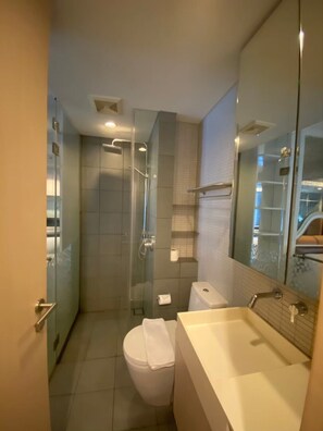A modern bathroom with a glass-enclosed shower, a white toilet, and a large mirror above the sink.