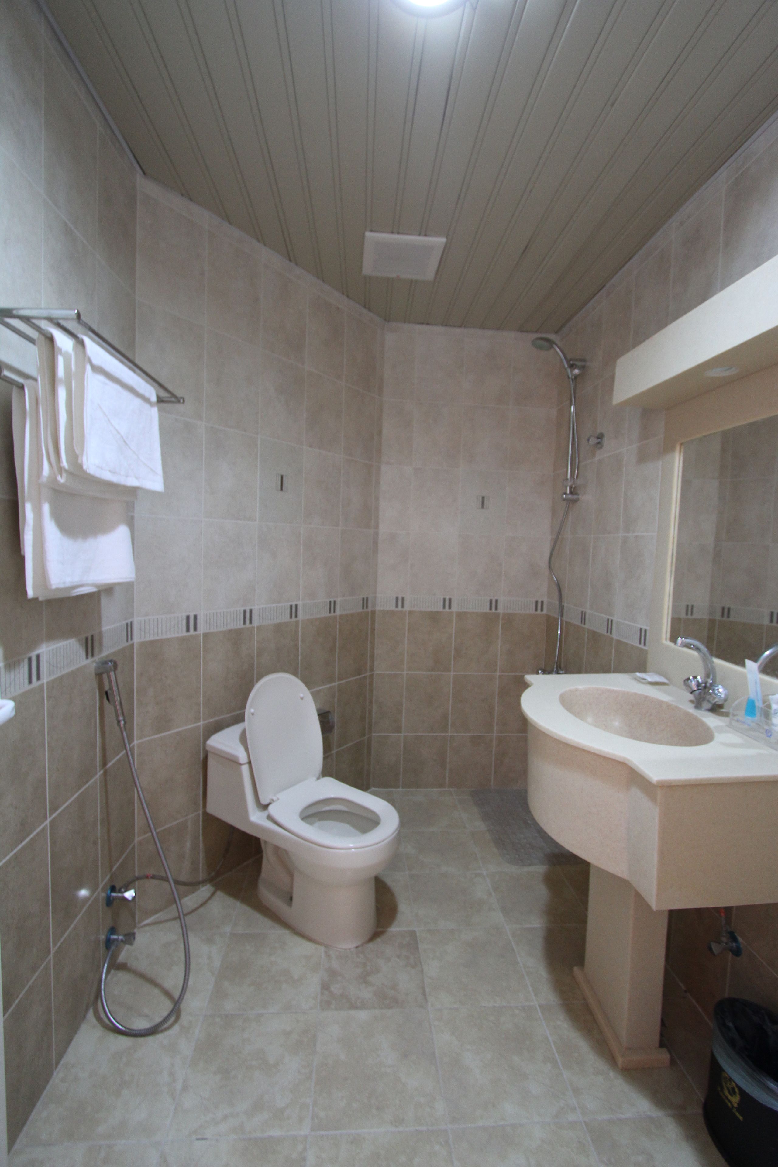 A bathroom with a toilet, sink, and shower.