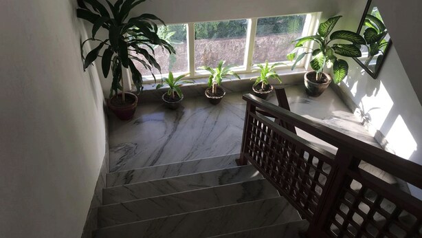 A staircase with marble steps leading to a landing with potted plants and a window. - Hotel Joshi (Siddharthanagar)